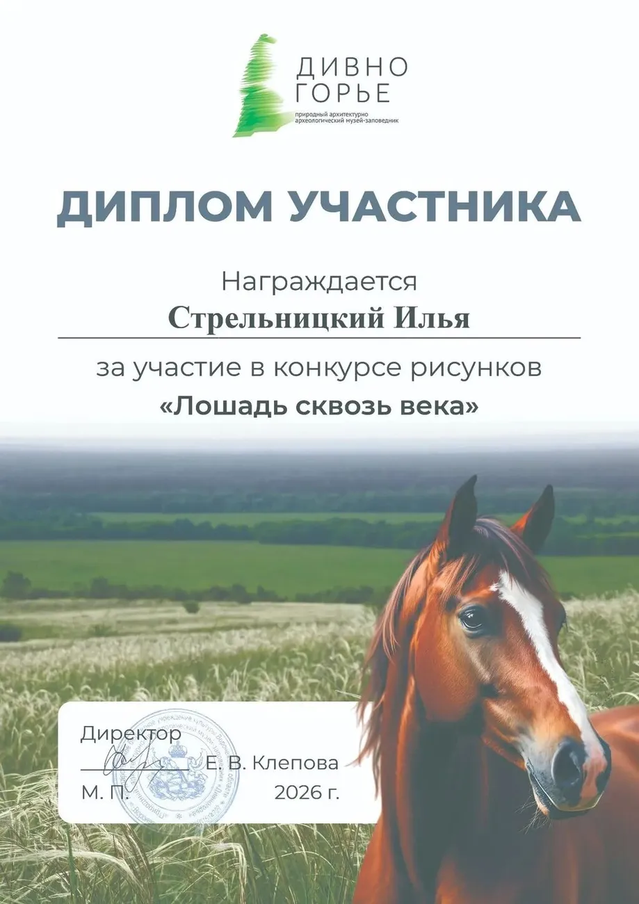 Стрельницкий Илья